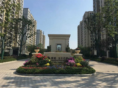 绿城玉兰